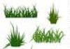 MJ & Sons Landscaping