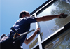 Sam Hollands Window Cleaning
