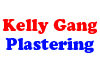 Looking For A Professional Plastering Service?