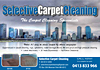 Selective Carpet Cleaning