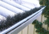 Brushguard gutter guard
