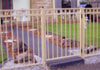 Greg Hooper Fencing