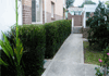 Shaun's Lawns & Gardens