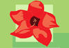 Matthew Dunn Garden Design