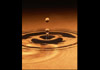 Asset Plumbing Solutions