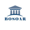Bosoar Stone
