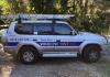 Tweed Byron Window Tinting