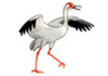 Crane Glass P/L