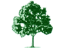 NQ Tree Lopping