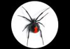 Complete Pest Control