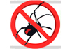 Affordable Pest Control