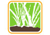 Landscaping Services