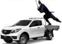 Ninja L.C.M Lawn Cleaning Maintenance