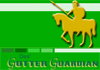 Des Gutter Guardian
