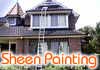Sheen Painting