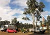 Kingaroy Tree Services