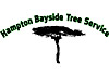 Hampton Bayside Tree & Stump Removal