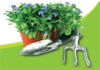 Australian Institute of Horticulture