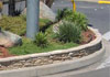 Bell Valley Nursery Pty Ltd