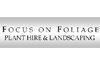 Focus On Foliage