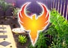 Phoenix Fencing & Landscapes