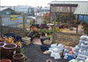 Smithton Plant Nursery