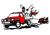 Brads Backyard Professional Lawn & Garden Care