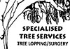 Specialized Tree Services