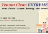 TENANT CLEAN EXTREME (BOND CLEANS)