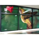 Extreme Glass Tinting Townsville