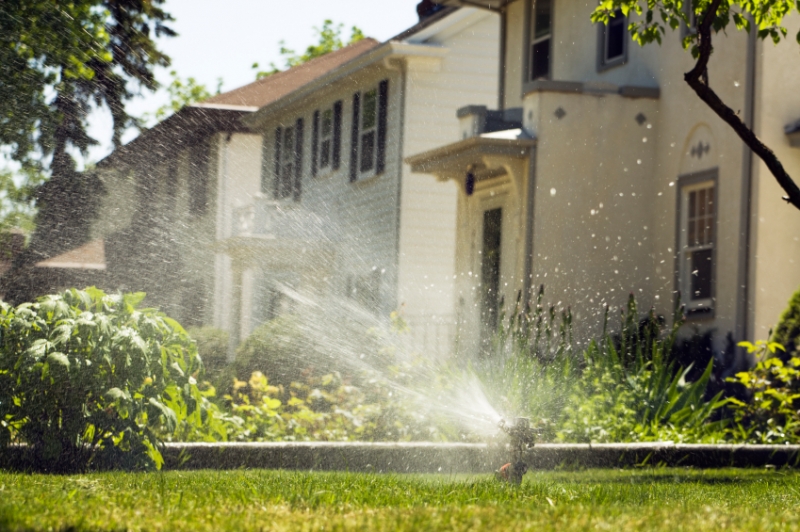 Grey Water Irrigation