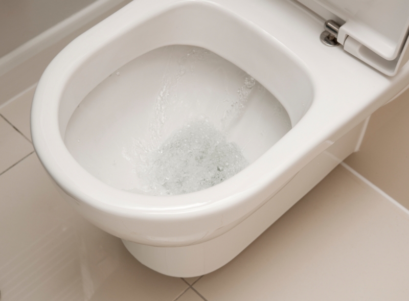 single-flush-vs-dual-flush-toilets