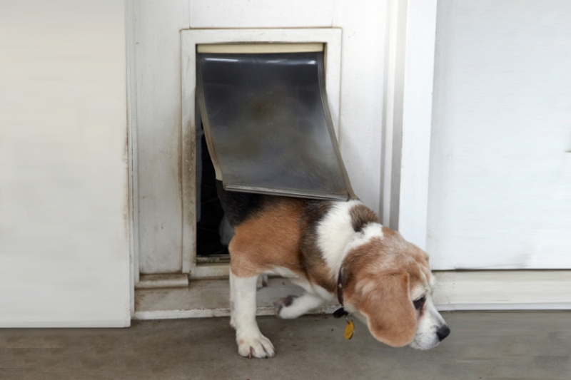Installing a Doggy Door