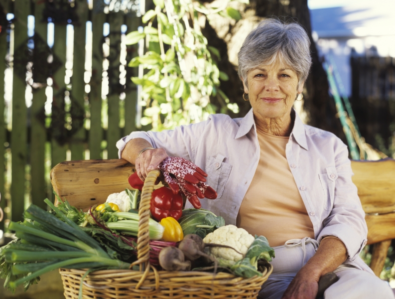 Vegetables To Grow In Winter Hipages Com Au