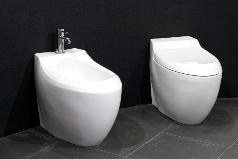 Guide to Choosing a Bidet