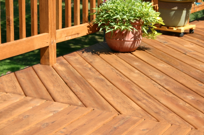 What are Treated Pine Decking Boards?