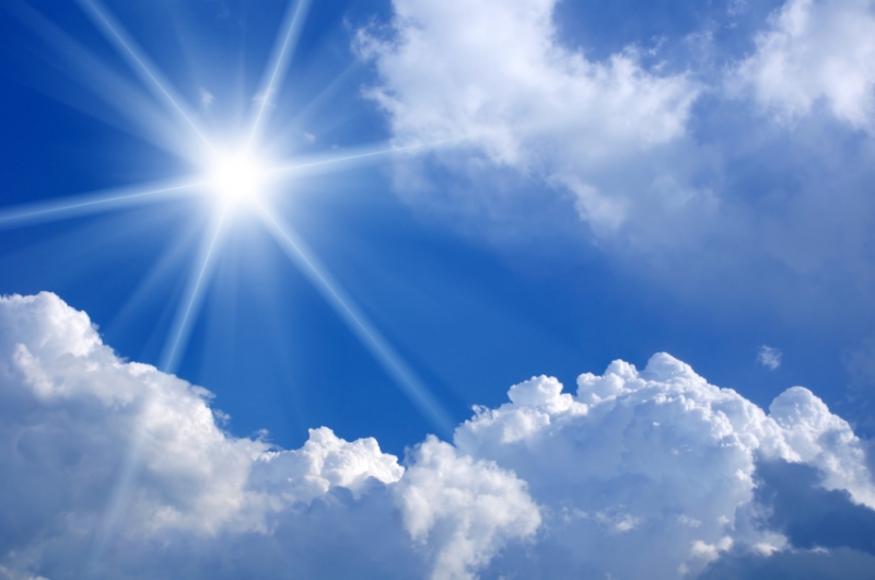 Natural Sources of Light - hipages.com.au