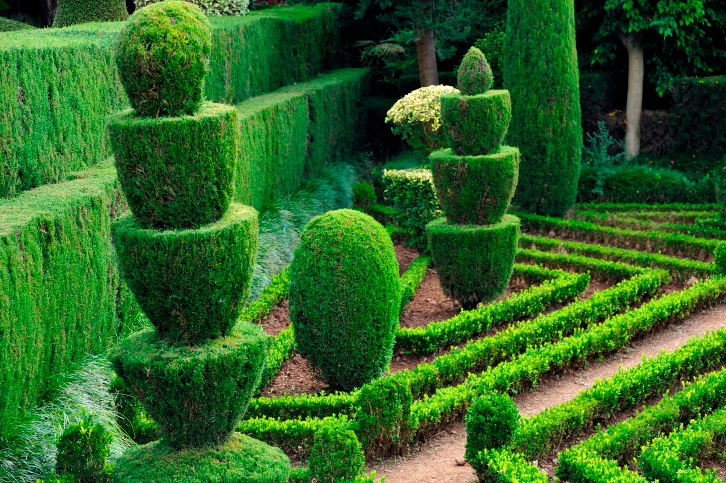 what-is-topiary