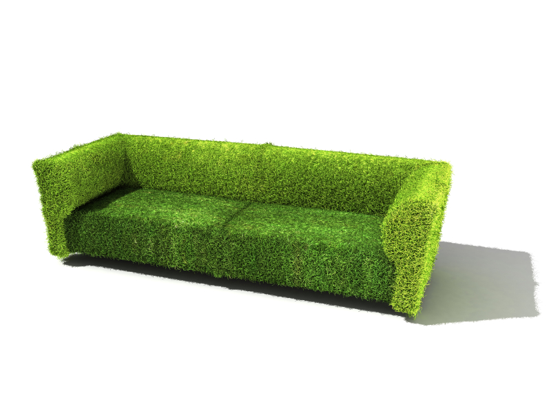 Types Of Grass Couch And Buffalo Home Improvement Pages