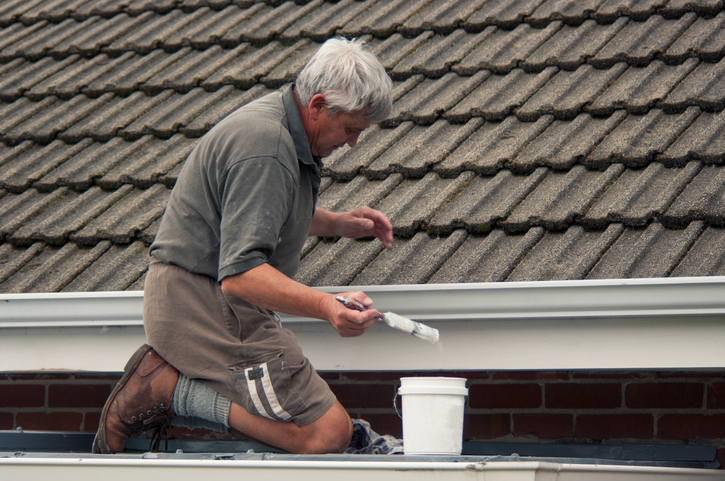 Roof Painting Costs In Australia, How Much Does It Cost To White Coat A Roof