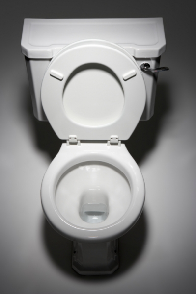How Much Does It Cost To Replace A Toilet Hipages Com Au