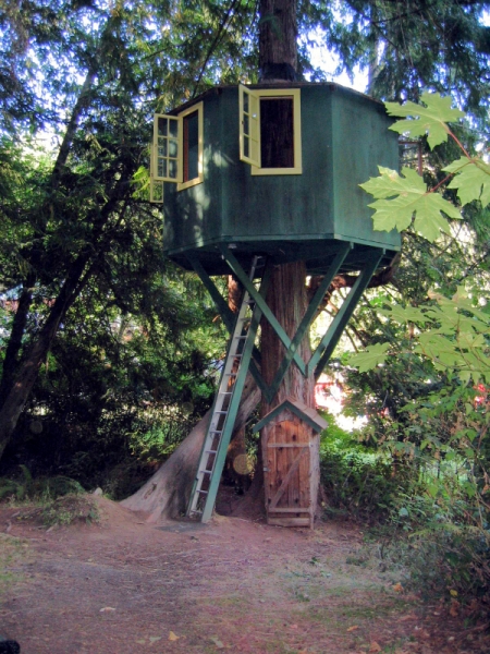 Installing a Tree House