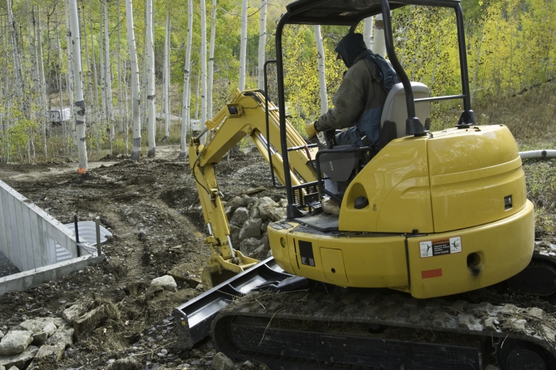 How Much Does Dingo Hire Cost? [2024]