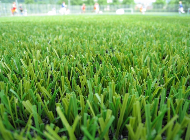 Real Grass Vs Synthetic Grass Home Improvement Pages