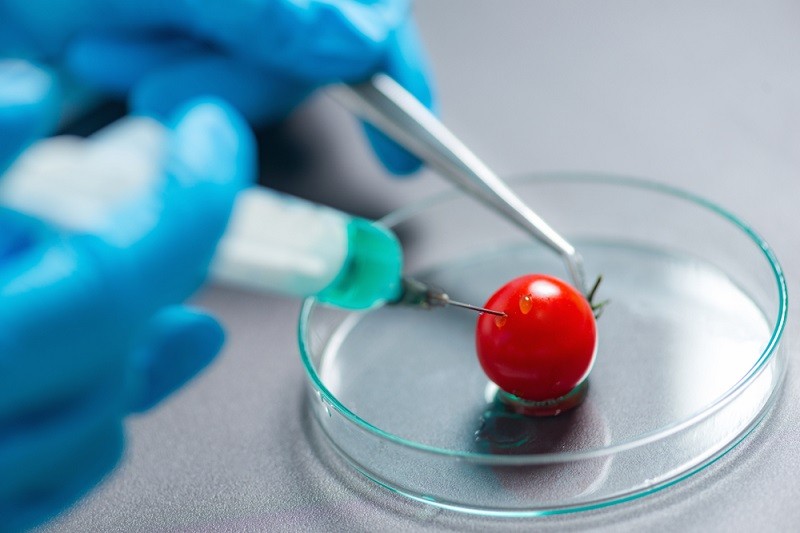 Food Additives