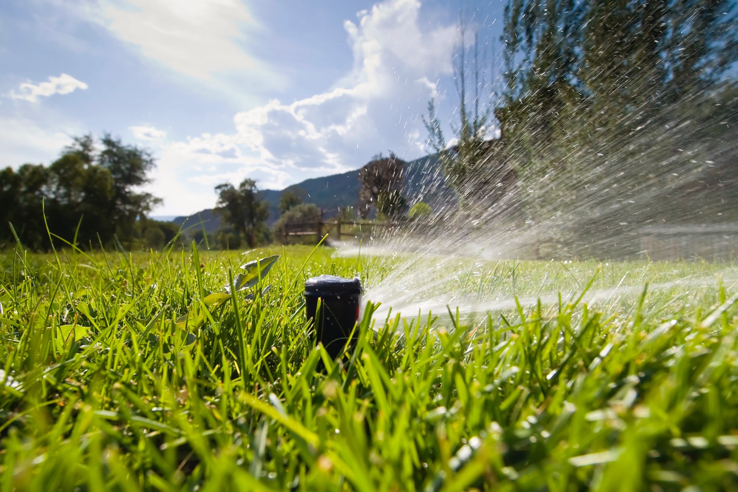 Best Local Irrigation System Installers Near Me (3 Free Quotes)