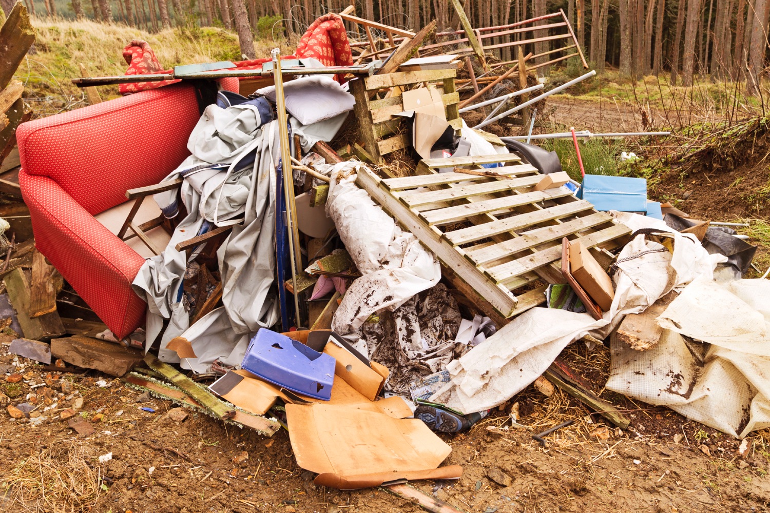 Best Local Rubbish Removal Services Near Me 3 Free Quotes 