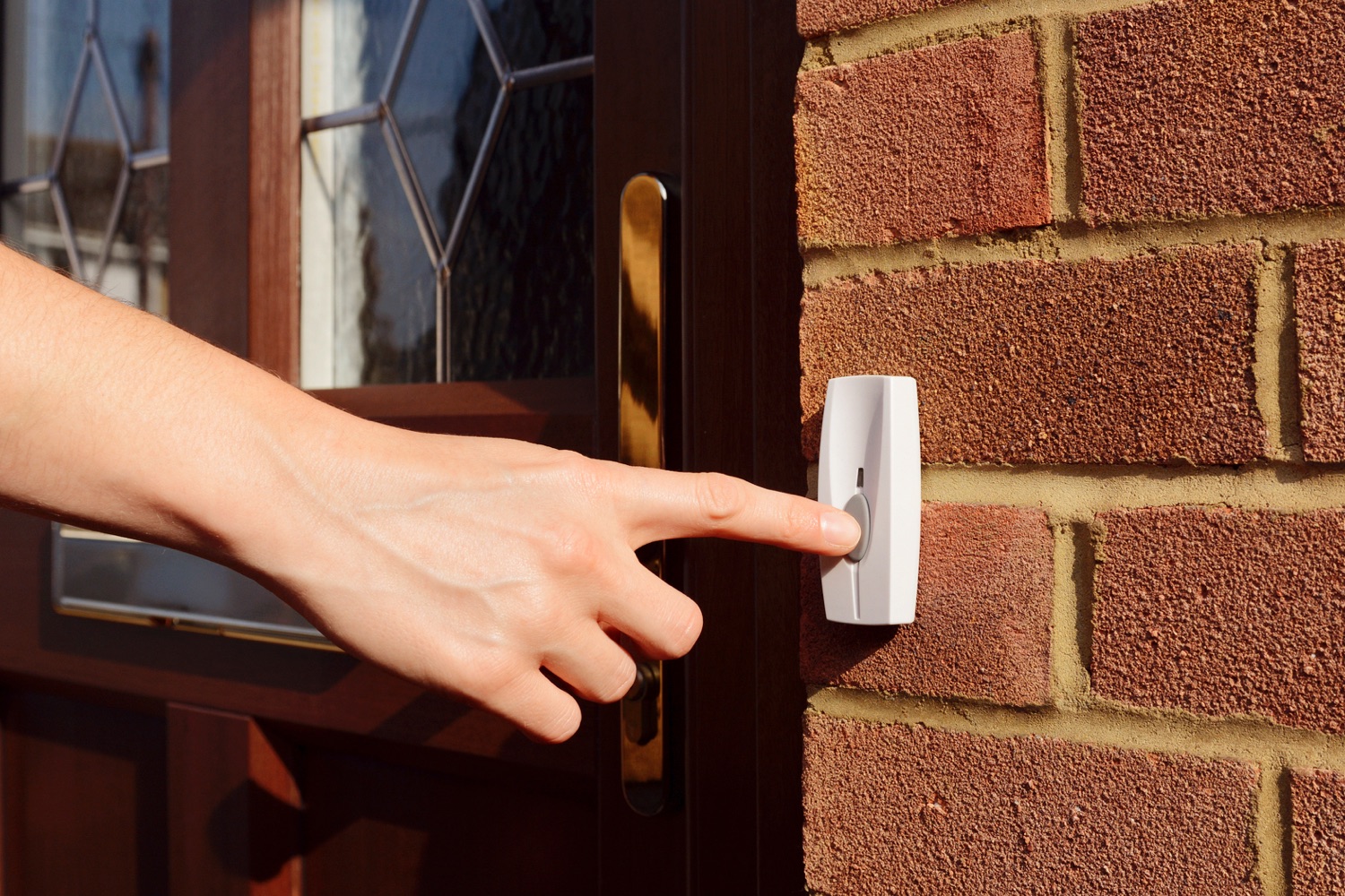 Best Local Security Screen Door Installers Near Me (3 Free Quotes)