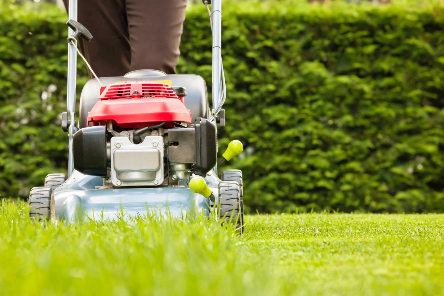 Best Local Lawn Mowing Garden Businesses Near Me (3 Free Quotes)