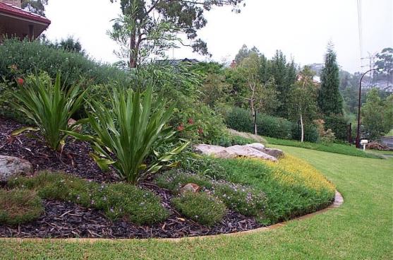 Garden Edging Design Ideas - Get Inspired by photos of Garden Edging